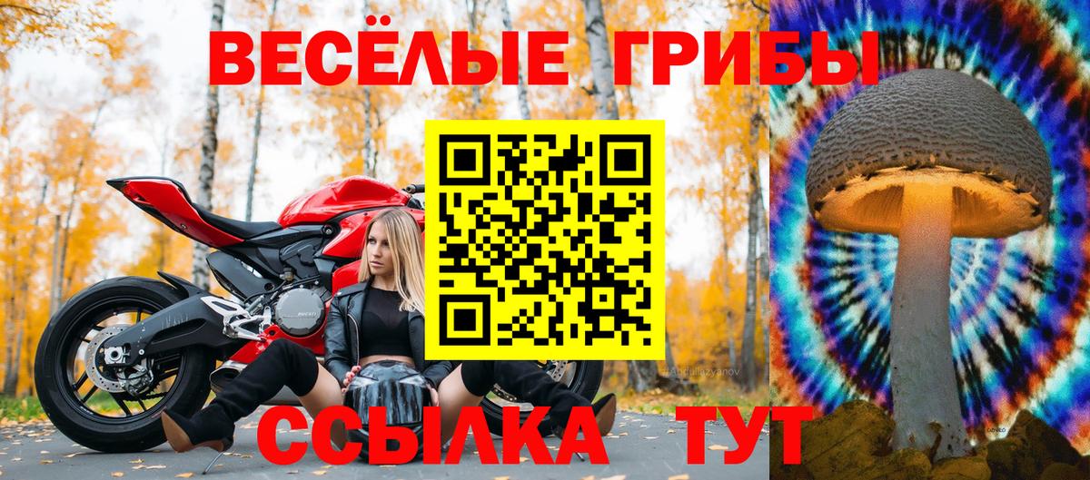 Псилоцибиновые грибы мухоморы Нижний Тагил